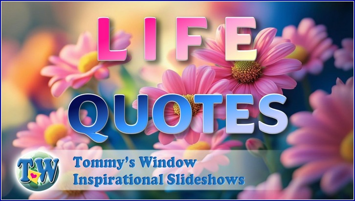 Life Quotes