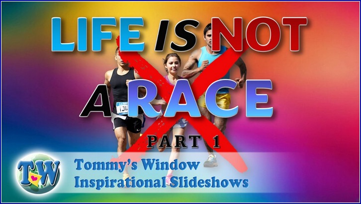 Life is not a Race 1