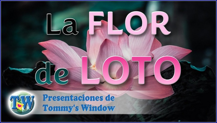 La flor de loto
